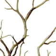 thumbnail image 4 of Langgg 3pcs Large Wedding Decoration Branch Simulation Plastic Dried Tree Branches Artificial Fake Foliage Plant, 4 of 8
