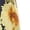 Navy, variant on Milly womens  Palmer Sunflower Poplin Dress, 6, Navy