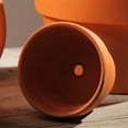 thumbnail image 3 of 7PCS Succulent Pot Terra Cotta Creative Flower Pot Plant Pot for Home Decor, 3 of 9