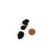 Joshs Frogs Terrarium Drainage Layer (1 Quart)