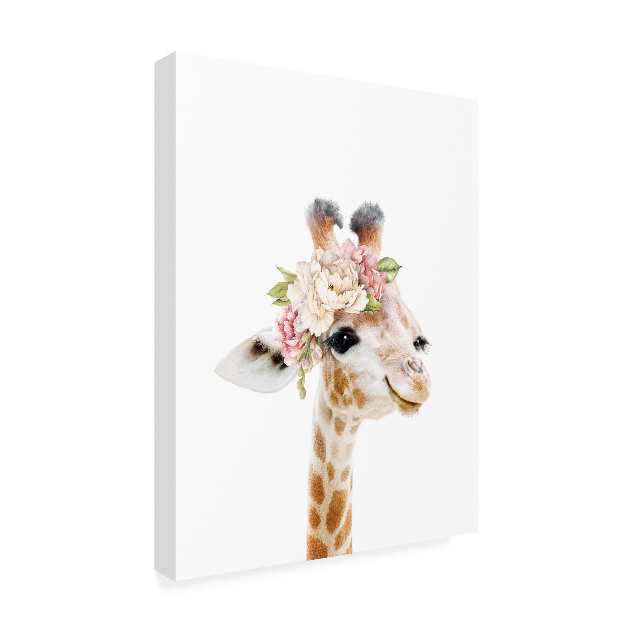 Trademark Fine Art Lola Peacock Floral Baby Giraffe Canvas Wall Art