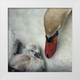thumbnail image 1 of Flour, Piet 20x20 White Modern Wood Framed Museum Art Print Titled - close to you, 1 of 4