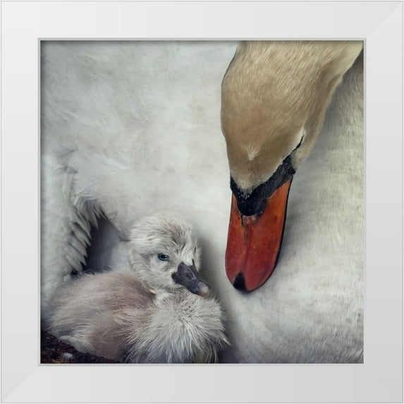 Flour, Piet 20x20 White Modern Wood Framed Museum Art Print Titled - close to you