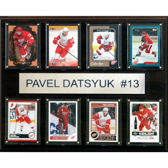 Pavel Datsyuk Detroit Red Wings 12'' x 15'' Plaque