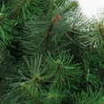 thumbnail image 2 of Northlight Real Touch™️ Mixed Canyon Pine Artificial Christmas Wreath - 48" - Unlit, 2 of 5