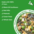 thumbnail image 3 of Letra de Wildlife Critter Food para ciervos, ardillas, pavos y conejos, 3 of 8