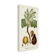 thumbnail image 2 of Trademark Fine Art 'Turpin Exotic Palms VIII' Canvas Art by Turpin, 2 of 4