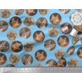 thumbnail image 2 of Soimoi Silk Fabric Cat Face Animal Decor Fabric Printed Yard 42 Inch Wide, 2 of 3