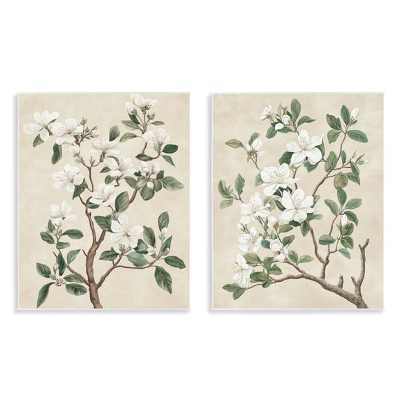 Stupell Industries Vintage White Floral Blossomed Trees 2 Piece Wall Plaque Art Set, design by Petal Prints Design
