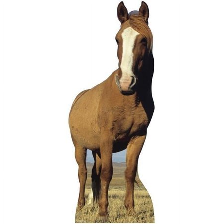 Horse Life-Size Cardboard Stand-Up