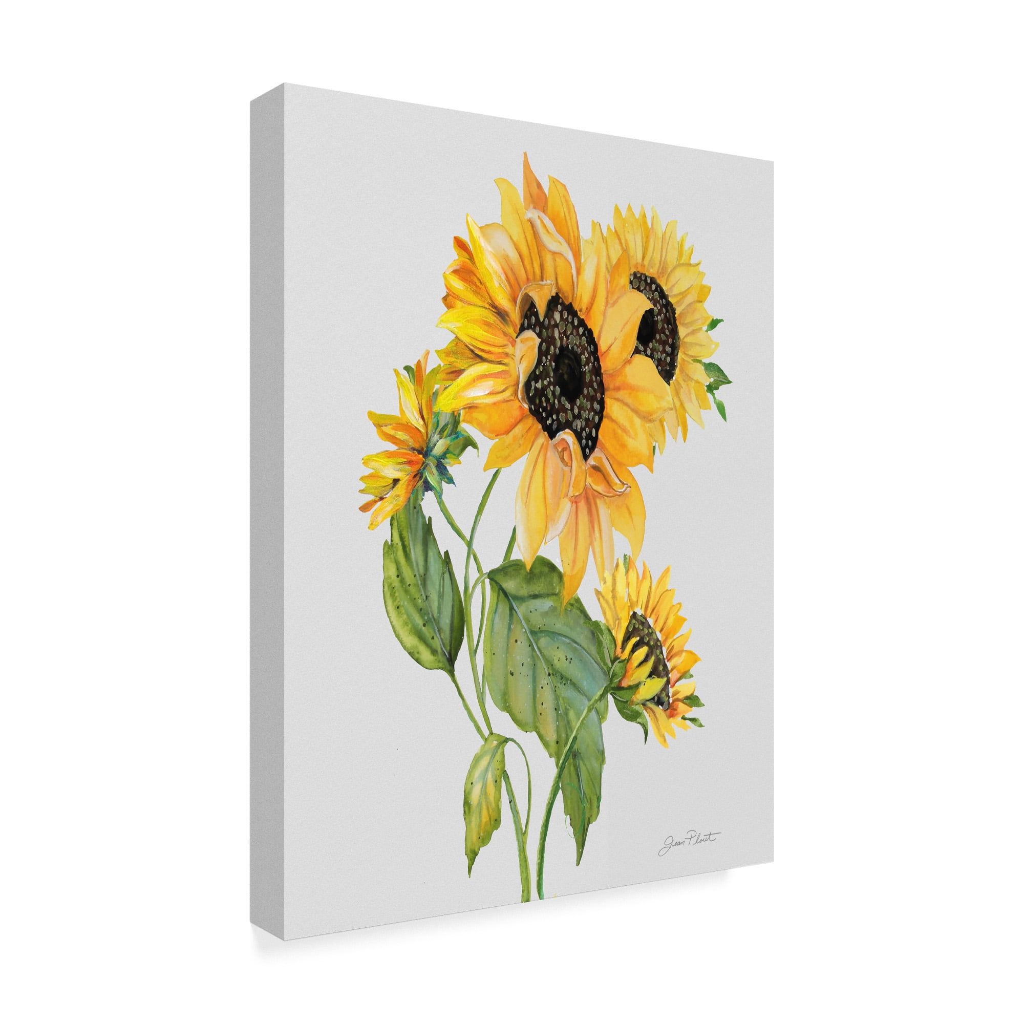 Trademark Fine Art 'Botanicals 10' Canvas Art by Jean Plout