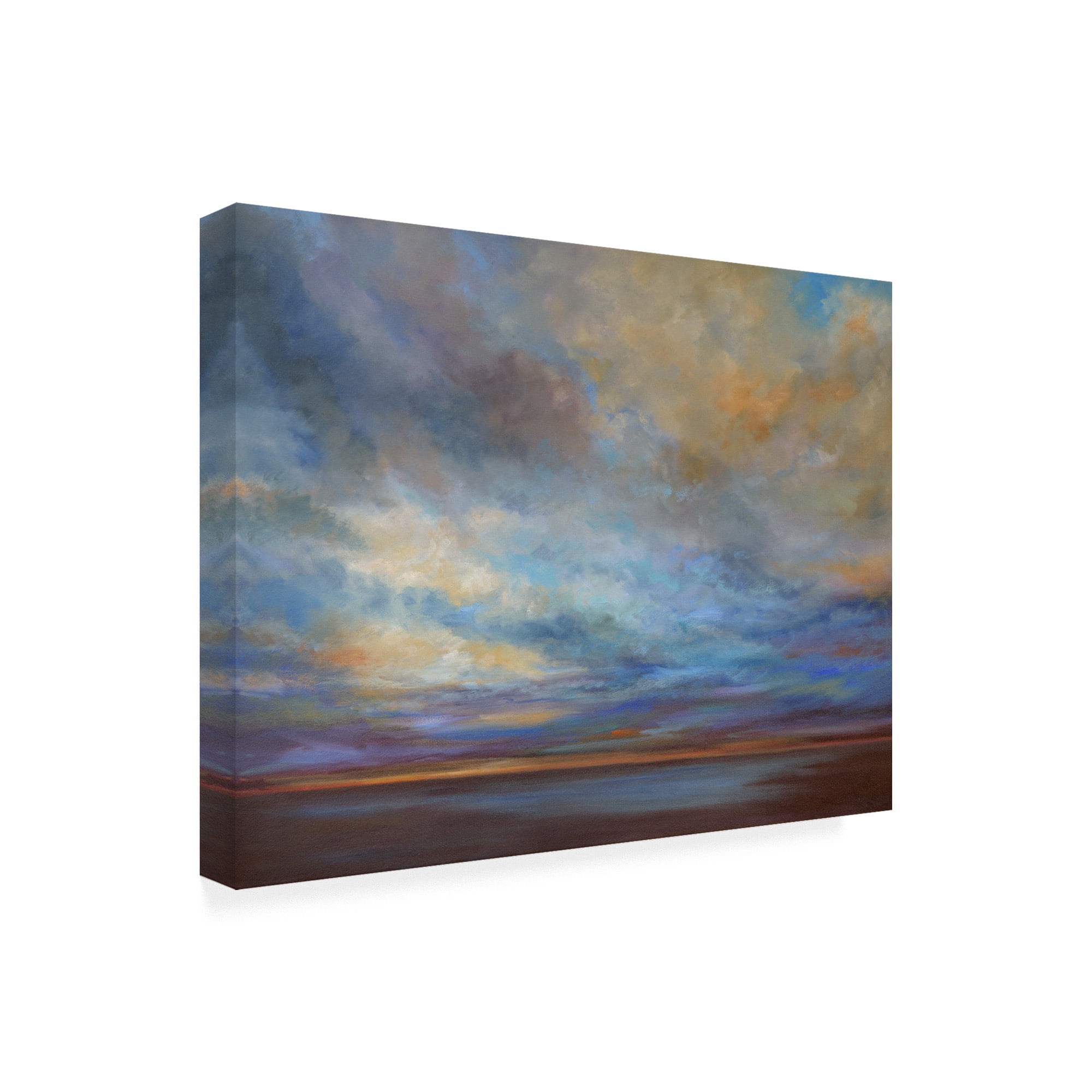 Trademark Fine Art 'Coastal Clouds I' Canvas Art by Sheila Finch