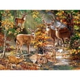 thumbnail image 1 of Kit de bordado completo Wdftyju Bosque Ciervos 11CT 3 hilos, 1 of 9
