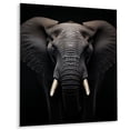 thumbnail image 2 of Designart "Black And White Elephant Beauty Of Strength V" Animals Elephant Metal Wall Art, 2 of 5