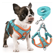 thumbnail image 1 of Pechera Arnés Para Perro Regulable Con Bandas Reflectivas Xtellar azul, 1 of 4
