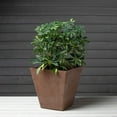 thumbnail image 2 of Root & Vessel Ella Square Planters, Rust, 16", 2 of 5