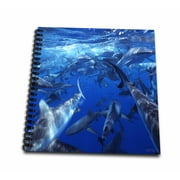 3dRose School of Grey reef sharks at Bikini atoll, Marshall Islands - Mini Notepad, 4 by 4-inch