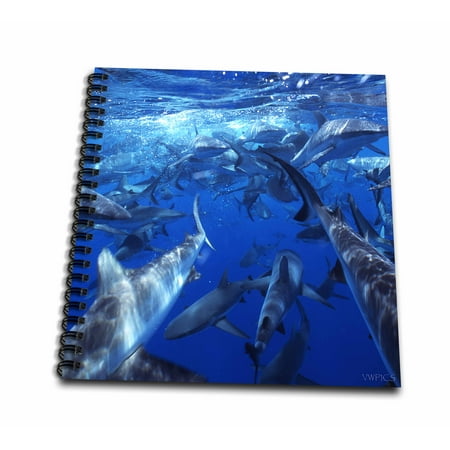 3dRose School of Grey reef sharks at Bikini atoll, Marshall Islands - Mini Notepad, 4 by 4-inch