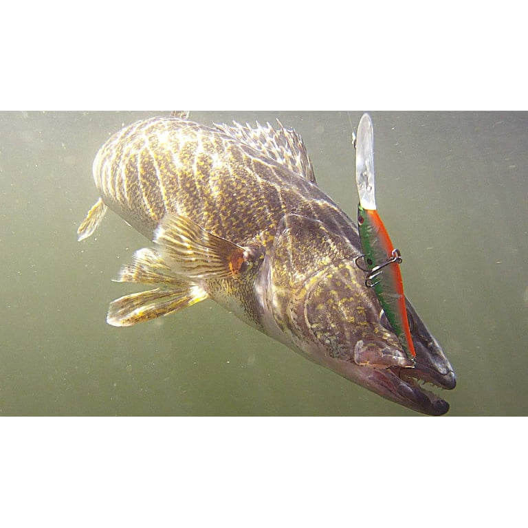 Berkley Flicker Minnow Fishing Lure, Firetail Red Tail, 1/2 oz