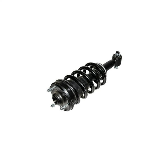 Front Suspension Strut and Coil Spring Assembly
