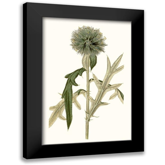 Curtis 11x14 Black Modern Framed Museum Art Print Titled - Soft Blue Botanicals VI