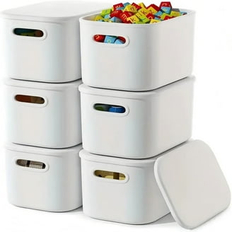 Walmart Christmas Ornament Storage, Holds 48 - 6-Inch Ornaments