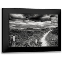 Aledanda 18x13 Black Modern Framed Museum Art Print Titled - Nantucket Pathway