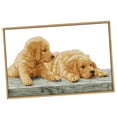 thumbnail image 4 of simhoa Beginner Design Works Cross Stitch s Dogs 11CT 14CT Counted 59 x 39cm 11CT Stamped, 4 of 8