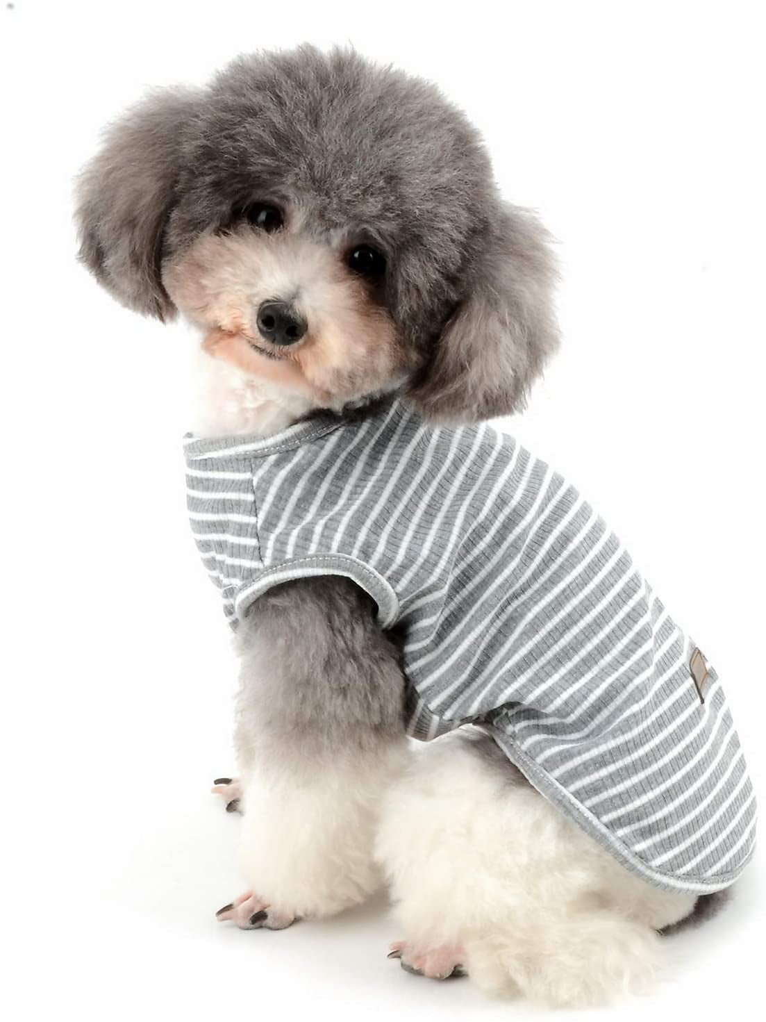 Becobe New Pet Fashion Jackets Autumn and Comfortable Keep Warm Cat Dog Clothing Pet T-Shirt Dog Apparel Puppy Pet Clothes for Dogs Cute Soft Vest Tank Tops Sweatshirt S/M/L/XL/XXL Army Green, S