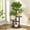 Multicolor 3-Tier, variant on HOARBOEG 3-Tier Wooden Plant Stand for Indoor Plants - Multi-Layer Space-Saving Flower Display Shelf with Tray, Sturdy Wood Construction for Home, Living Room, Garden, Office Decor
