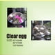 thumbnail image 5 of FELTECHELECTR 10 cajas de huevos de Pascua creativas y divertidas, transparentes, decoradas, para fiestas., 5 of 6