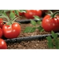 thumbnail image 2 of Orbit Irrigation Black Drip Soaker Tubing - Drip Irrigation Systems 1/4" x 50ft., 2 of 5