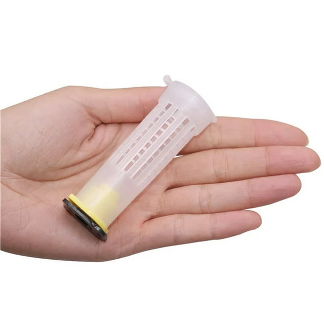 270 Pcs Outils d'Apiculture Protection de Piédestal de Roi de Fertilité Long Paroi Cage de Reine