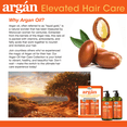 thumbnail image 4 of Difeel Premium Natural Hair Oil - Argan Oil 2.5 oz., 4 of 7