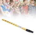 thumbnail image 1 of 6 Holes Irish Tin Whistle Accurate Tuning Whistle Flute Durable Musical Wind Instruments for Music Lovers, 1 of 8