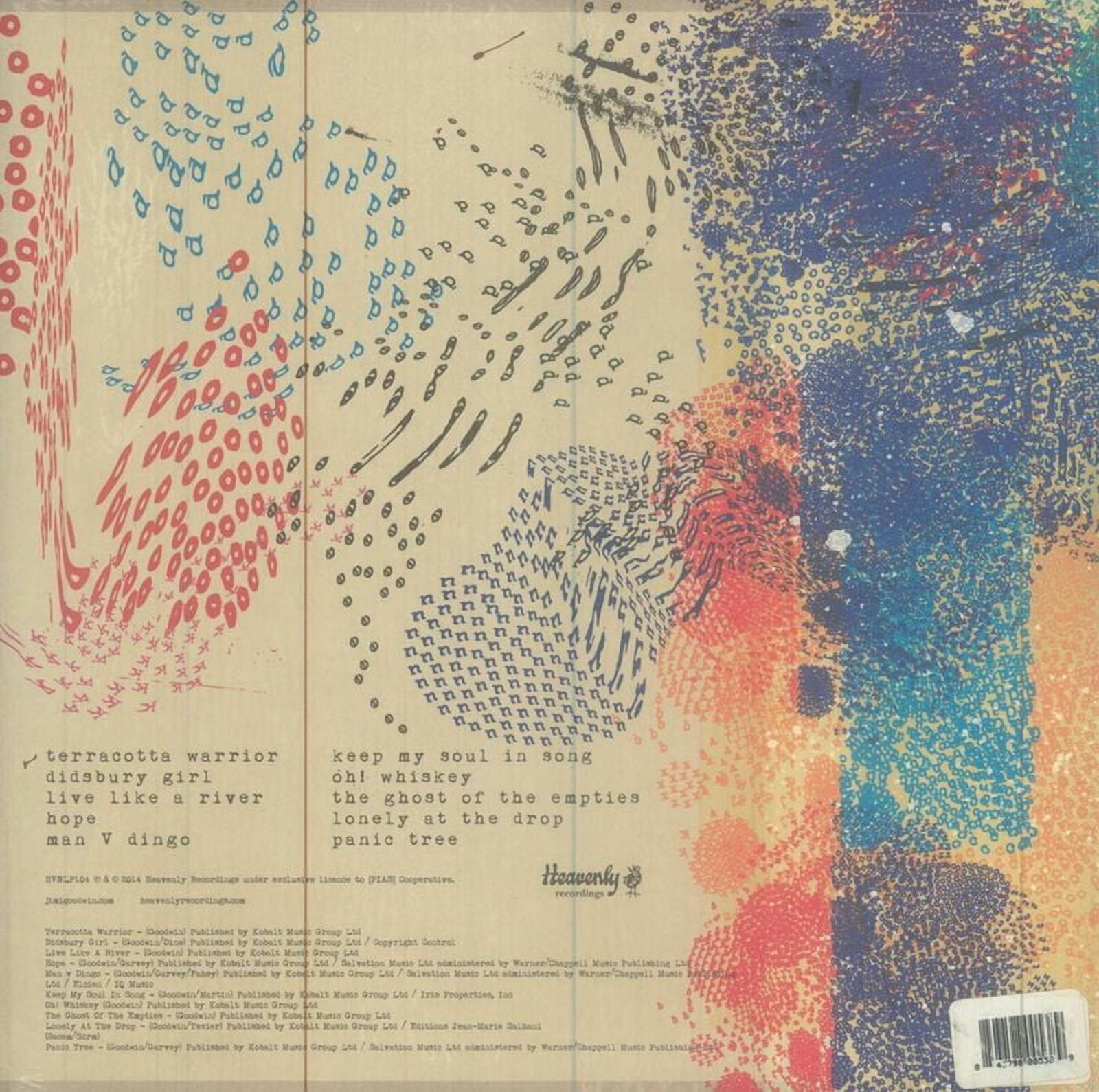 Jimi Goodwin - Odulek - Vinyl