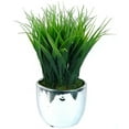 thumbnail image 1 of Vintage Home Grass in Round Ceramic Pot, 1 of 4
