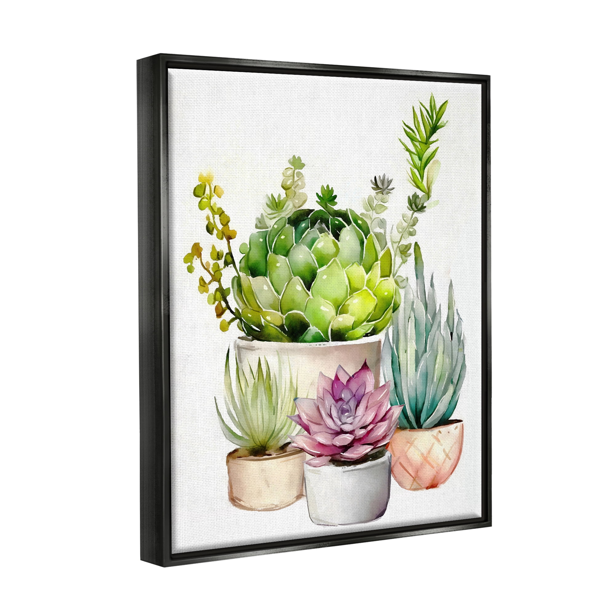 Stupell Industries Varied Succulent Garden Plants Botanical & Floral Painting Black Floater Framed Art Print Wall Art