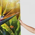 thumbnail image 3 of Orinice  Plant Shower Curtain, Close-up Image of Strelitzia Reginae Bird of Paradise Flower Madeira Island Portugal, Fabric Bathroom Decor Set with Hooks,  60x72, 3 of 7