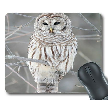Owl And Mouse GCKG White Cute Owl Perch On Tree Mouse Pad Personalized Unique Rectangle Gaming Mousepad 9.84