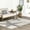 Light Gray, variant on Thomas Paul Starfish and Striped Area Rug, 2' 8" x 10', Runner, Starfish Grey