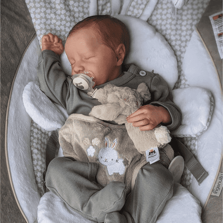RBB 17 Inch Realistic 3D Hand-painted Reborn Baby Doll Levi, Realistic Newborn Real Life Baby Dolls Toy Gift for Kids Age 3+