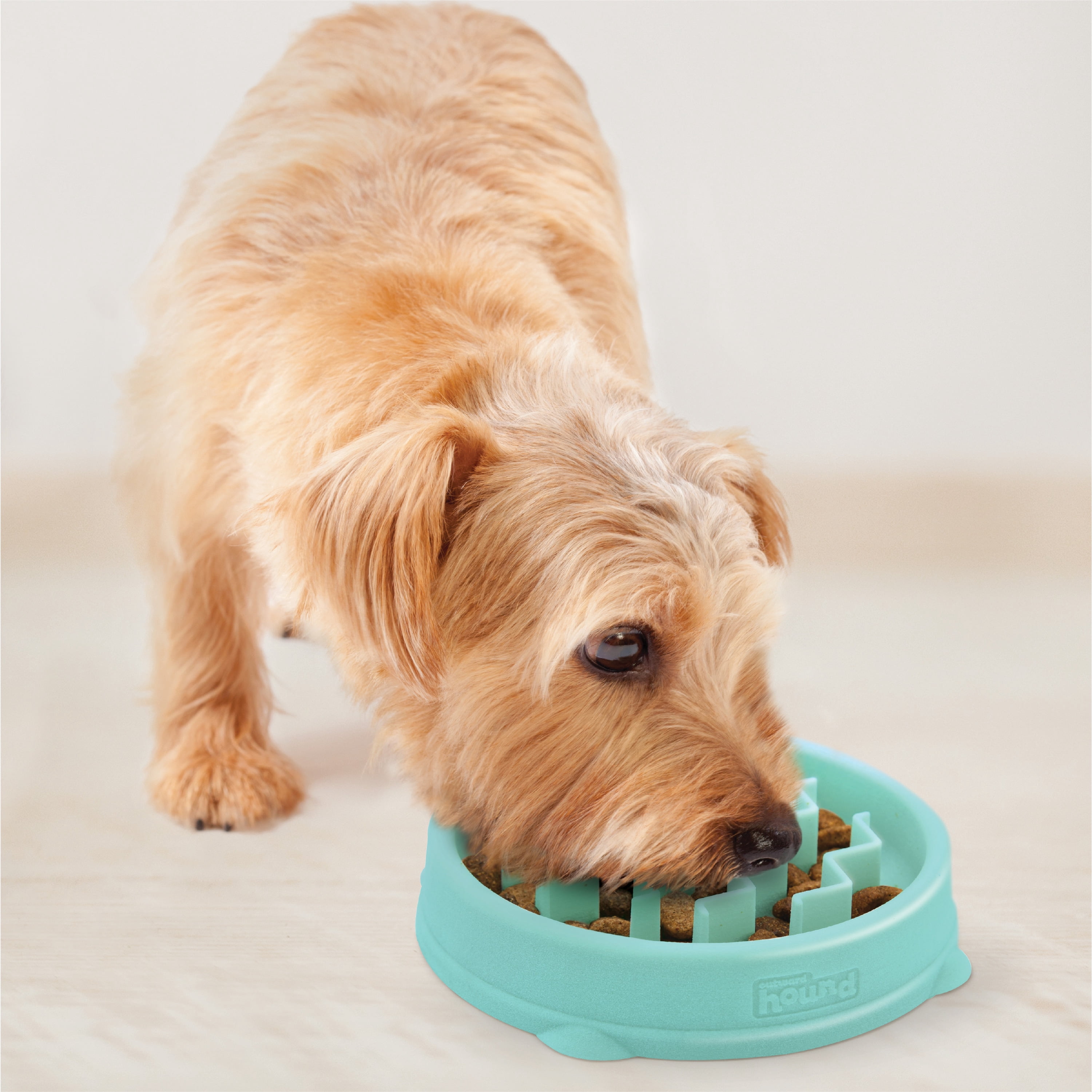 Outward Hound Fun Feeder Slo Bowl – Small 3/4-Cup Capacity, Slow Feeding, Small Dogs, Puppies & Cats, Non-Slip, Mint, Wave Pattern