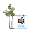 thumbnail image 1 of Hola Tibbers Jarrones colgantes de vidrio transparente Decoración Botella, 1 of 4