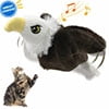 White headed eagle