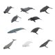 thumbnail image 2 of Juguetes Educativos Sunnimix 10 Uds Figuras de simulación Ballena, 2 of 8