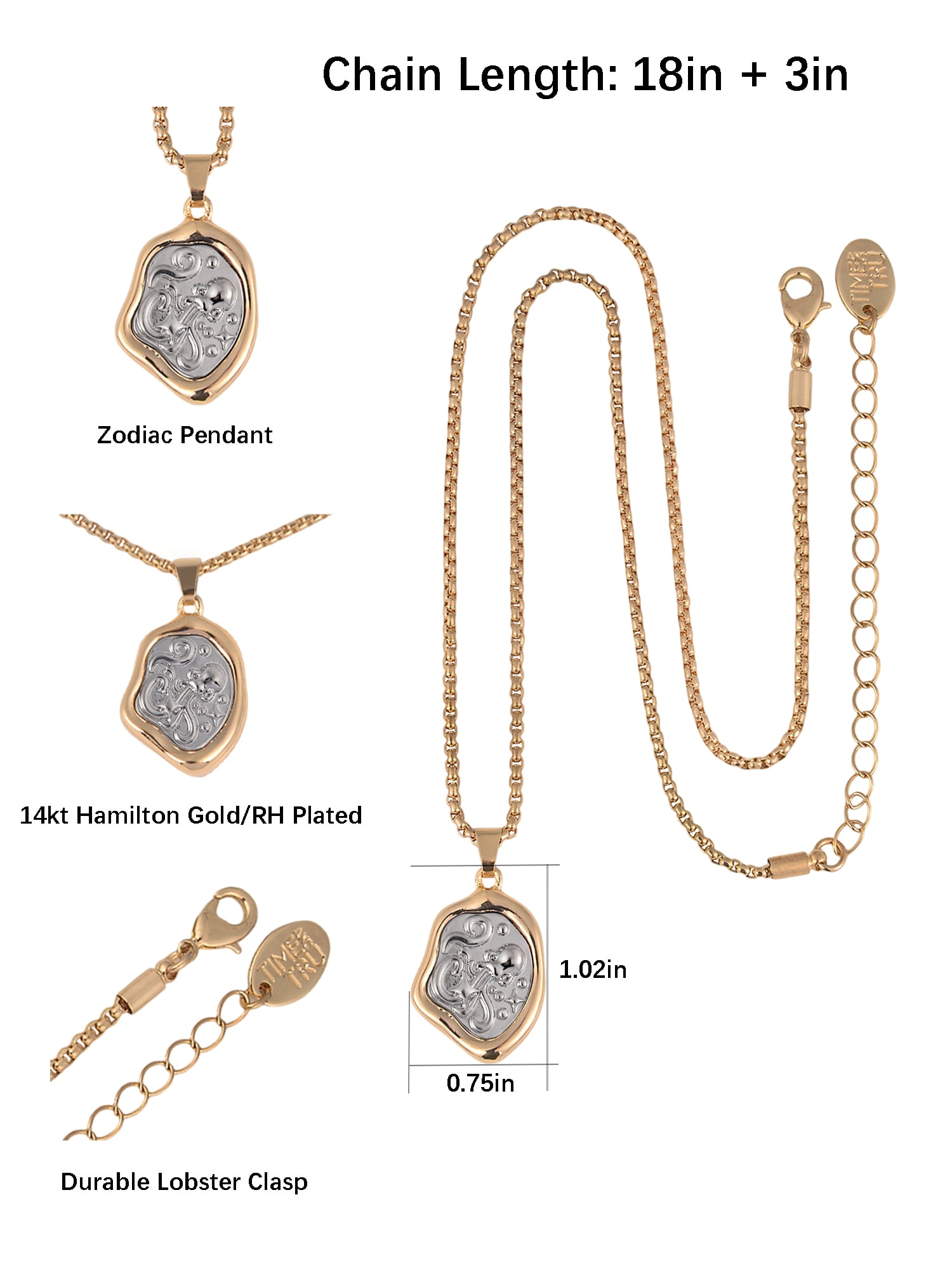 Time and Tru Goldtone Silvertone Reversible Pendant "Aquarius" Necklace