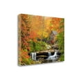 thumbnail image 2 of Tangletown Art, 24 x 18 "Autumn Splendor " by Elizabeth Carmel, Gallery Wrap Can, 2 of 2