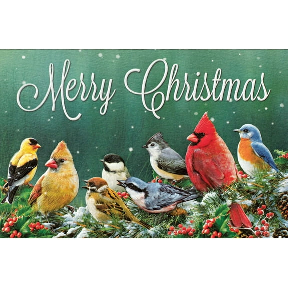 Pumpernickel Press Embossed Christmas Greeting Cards Boxed Set – Merry Christmas Birds, 16 Count