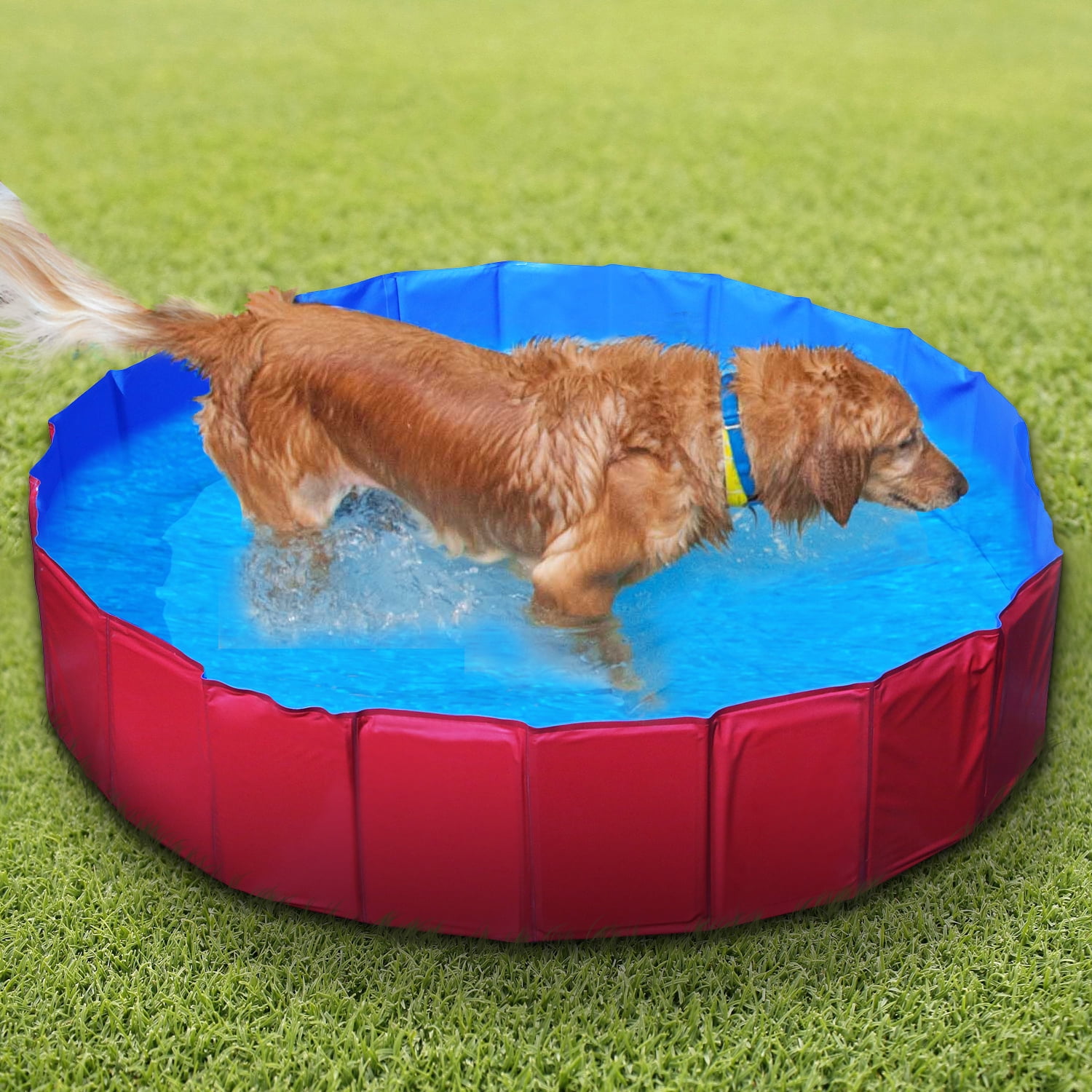 Gpct Outdoor 63 Inch Foldable Portable Collapsible Large Dog